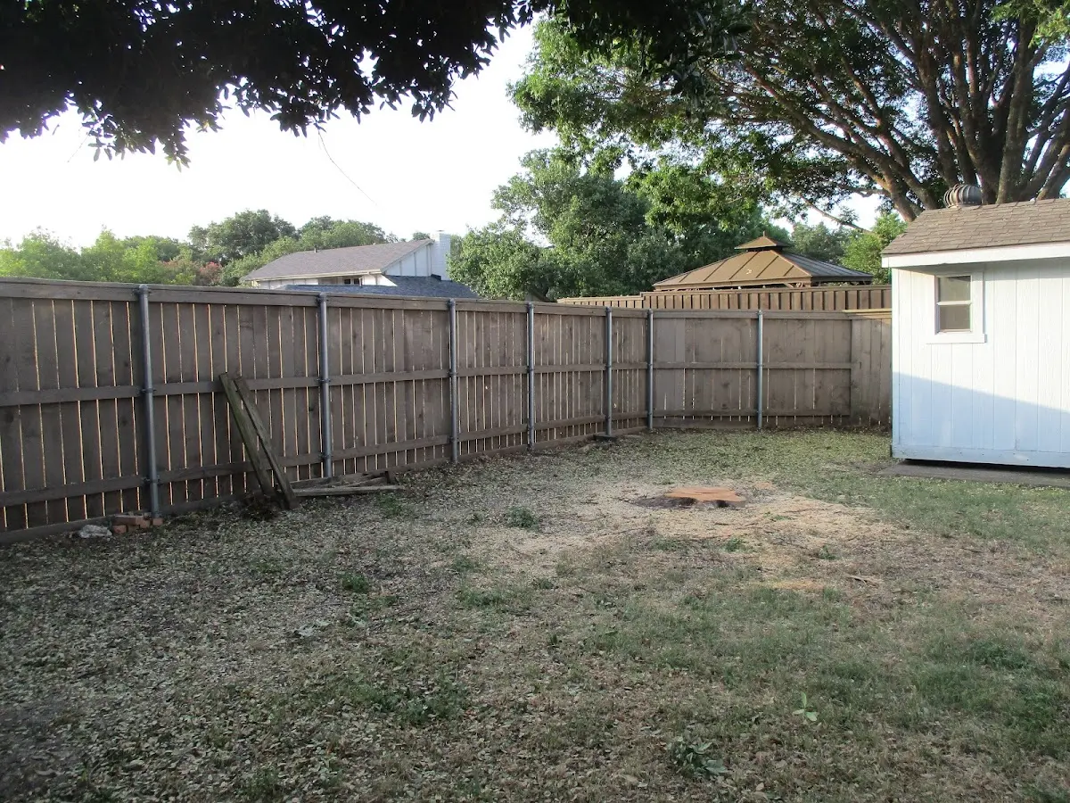 Cleared yard after professional tree removal in Orleans